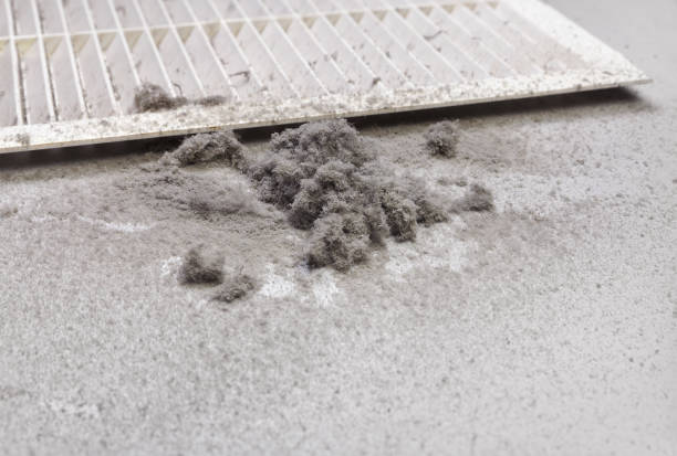 Best Commercial Air Duct Cleaning  in Oli, PA