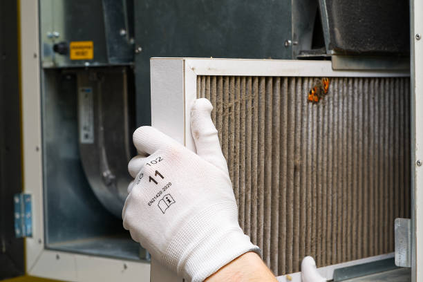 Best Duct Cleaning Specialists  in Oli, PA