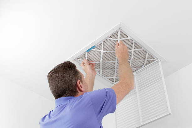 Best Dryer Vent Cleaning Services  in Oli, PA